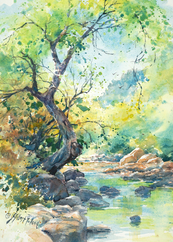 Boulder Creek by Julie Gilbert Pollard
