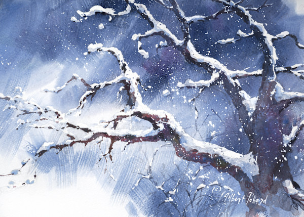 Mingus Mountain Winter Roadside Scene - AKA Mingus Mountain III by Julie Gilbert Pollard