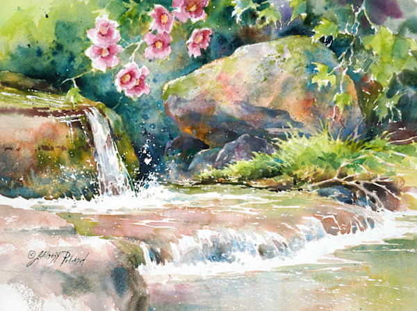 Rensselaerville Falls View on Huyck Preserve II by Julie Gilbert Pollard