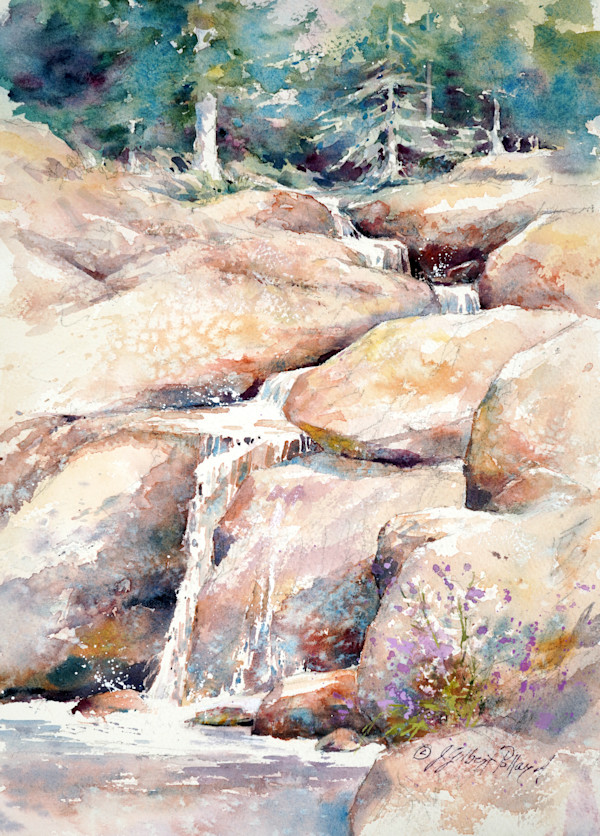 Granite, Water Cascades & Wildflowers - Sierra Waterfall by Julie Gilbert Pollard