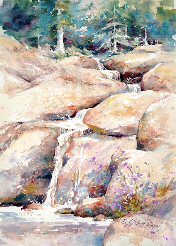 Granite, Water Cascades & Wildflowers - Sierra Waterfall by Julie Gilbert Pollard