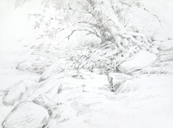 Tenacious Roots by Julie Gilbert Pollard