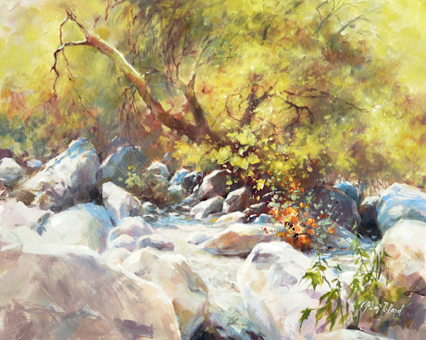 Sonoran Gold by Julie Gilbert Pollard