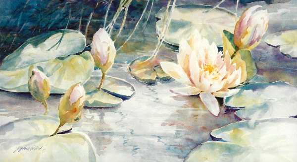 Water Lily by Julie Gilbert Pollard