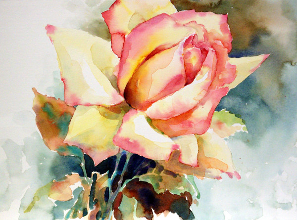 Rose by Julie Gilbert Pollard