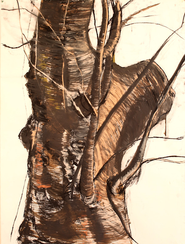 Sycamore by Tom Goldenberg Studio LLC