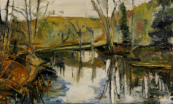 Turkey Hollow Pond by Tom Goldenberg Studio LLC
