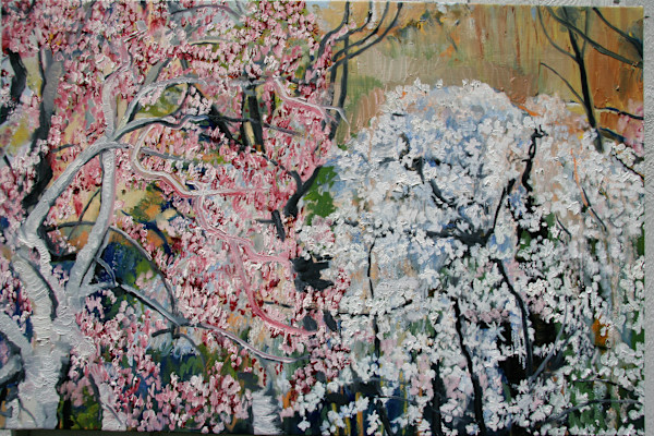 Dogwood by Tom Goldenberg Studio LLC