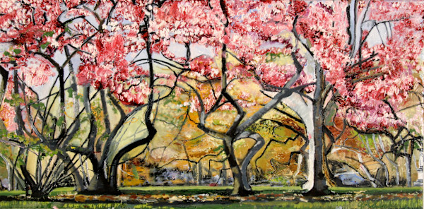 Central Park Magnolia by Tom Goldenberg Studio LLC
