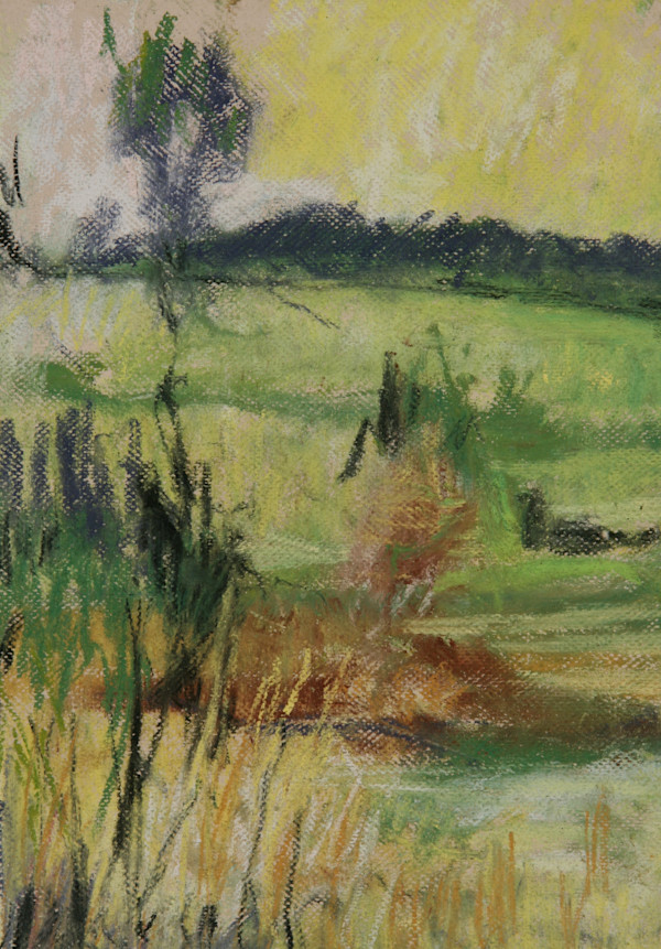 Green Field by Tom Goldenberg Studio LLC