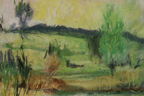 Pasture Pastel by Tom Goldenberg Studio LLC