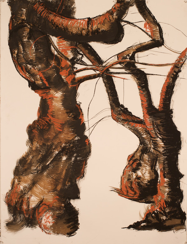 Central Park Cherry Series #5 (Grind) by Tom Goldenberg Studio LLC