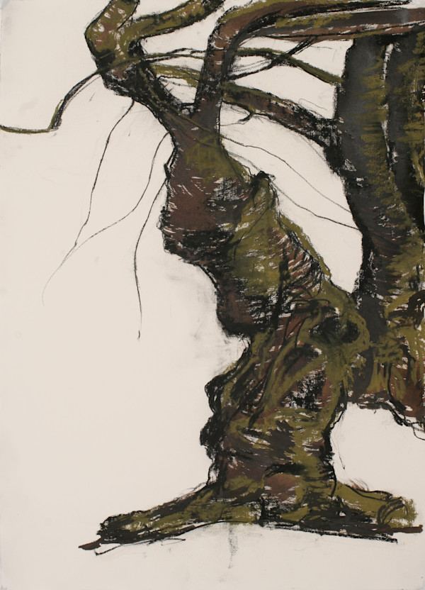 Central Park Cherry Series #8 (Violet Cherry) by Tom Goldenberg Studio LLC