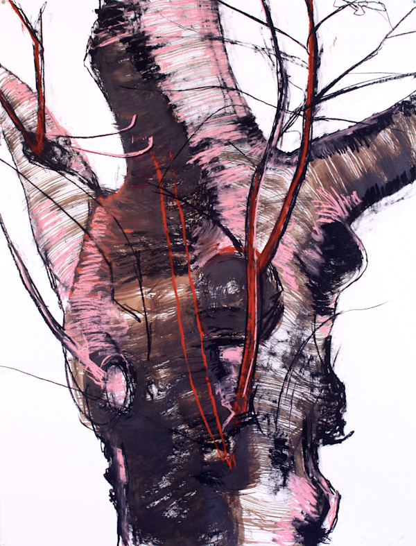 Pink Sycamore by Tom Goldenberg Studio LLC
