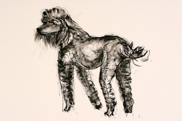 Central Park Dog by Tom Goldenberg Studio LLC