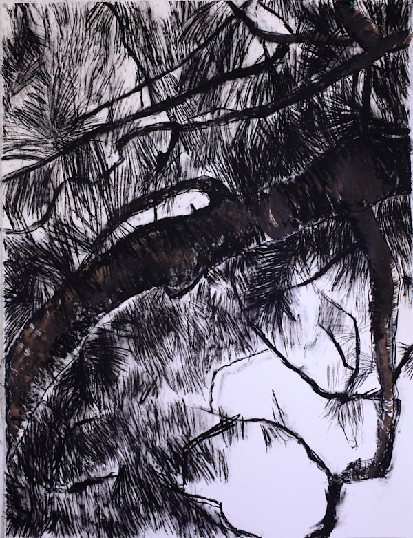 Black Fir by Tom Goldenberg Studio LLC