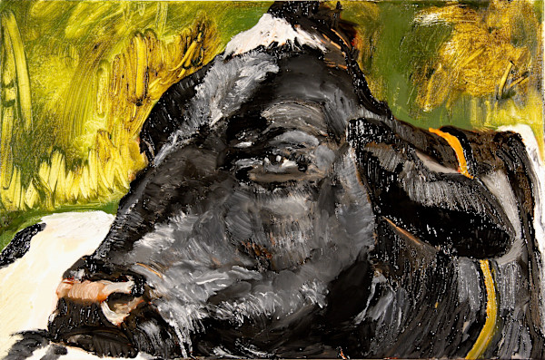 Cow by Tom Goldenberg Studio LLC
