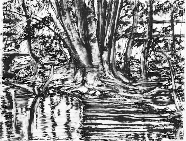 Gallatin Drawing by Tom Goldenberg Studio LLC
