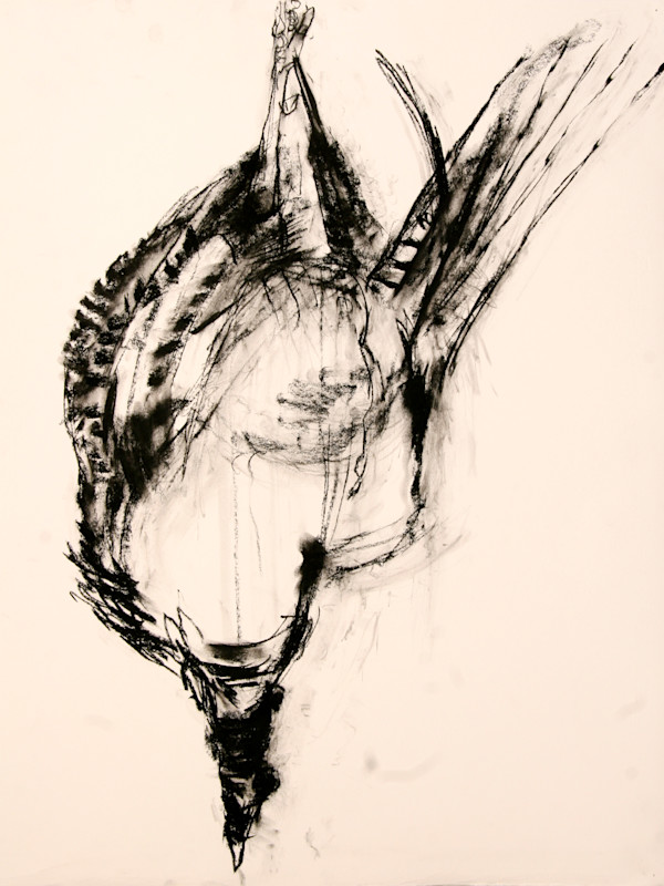 Pheasant 1 by Tom Goldenberg Studio LLC