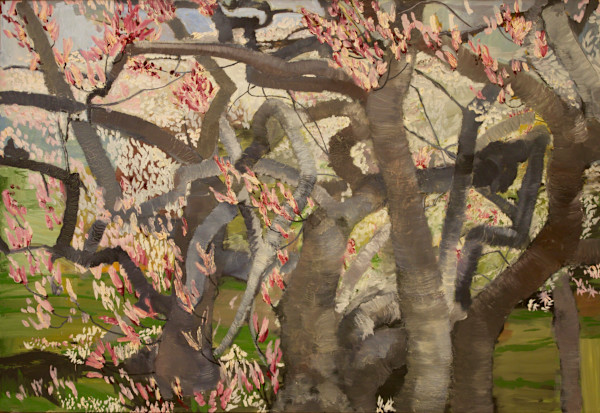 Magnolia by Tom Goldenberg Studio LLC