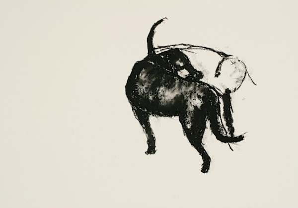 Park Dogs by Tom Goldenberg Studio LLC