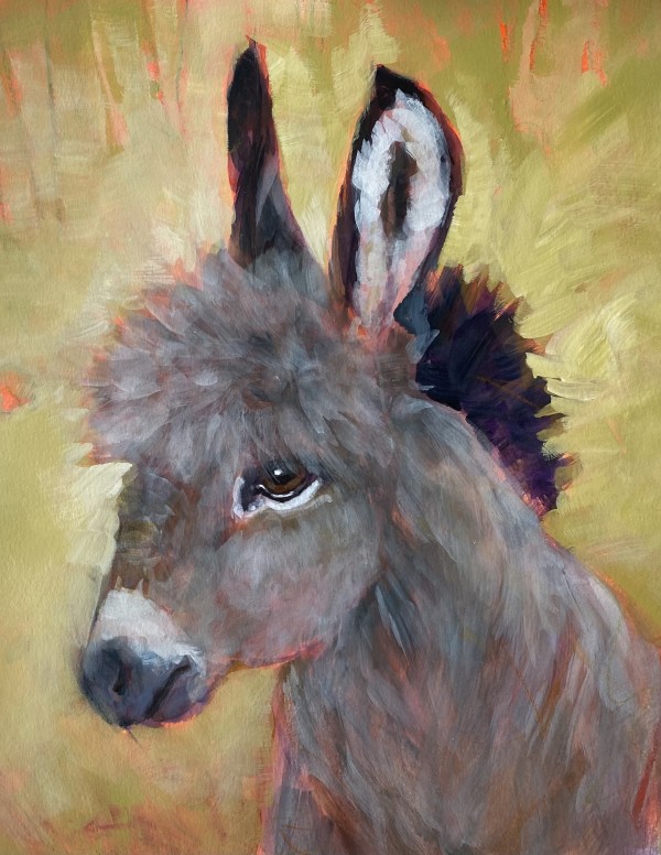 Baby Donkey by Connie Geerts