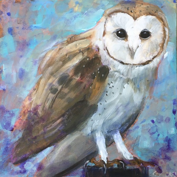 Barn Owl by Connie Geerts