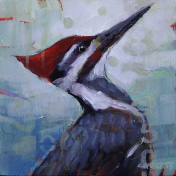 Pileated Woodpecker by Connie Geerts