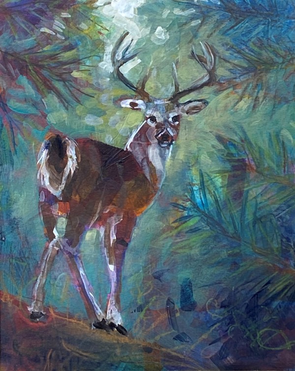 Buck on the Path by Connie Geerts