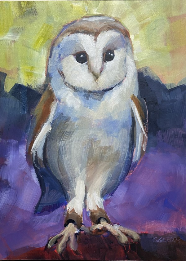 Young Barn Owl
