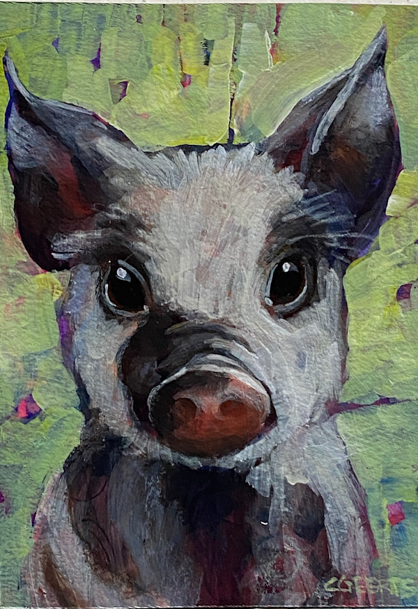 Stanley by Connie Geerts