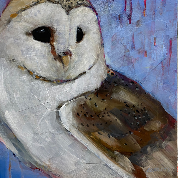 Barn Owl by Connie Geerts