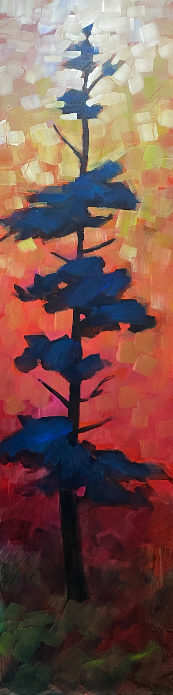 Rooted by Connie Geerts