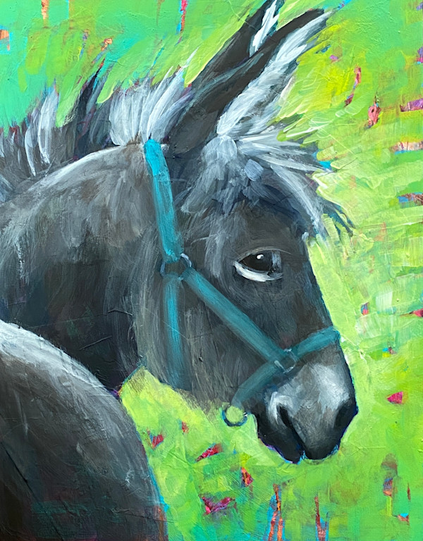 Paisley by Connie Geerts