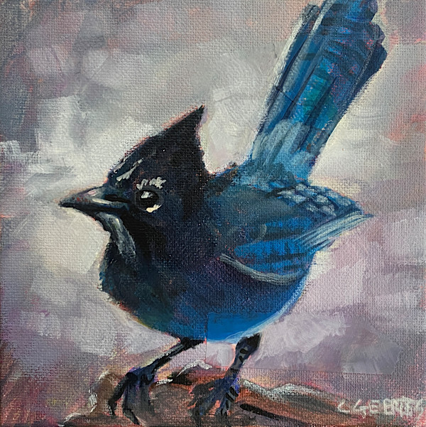 Stellar's Jay by Connie Geerts, Image 1.