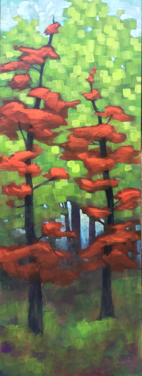 Red Spruce by Connie Geerts