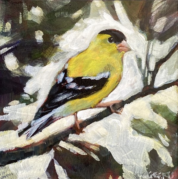 Goldfinch II