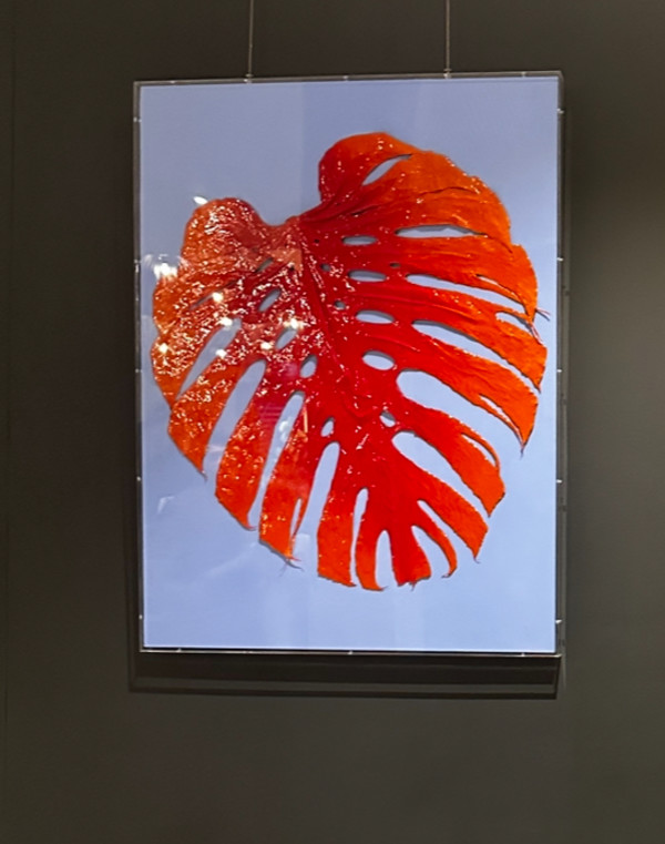 The Nature of the Problem by Tiffany Matos