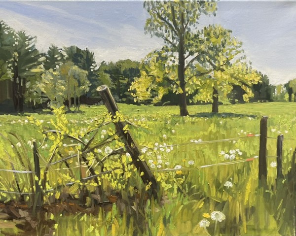 Spring Fever by Christy Hegarty