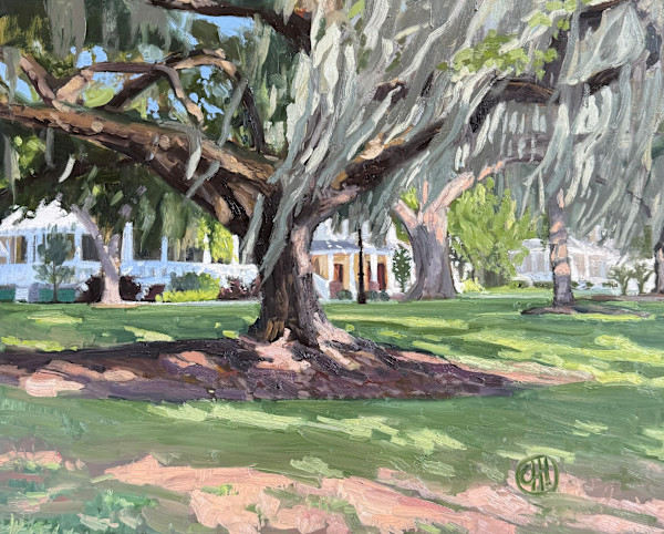 Live Oak in Beaufort by Christy Hegarty