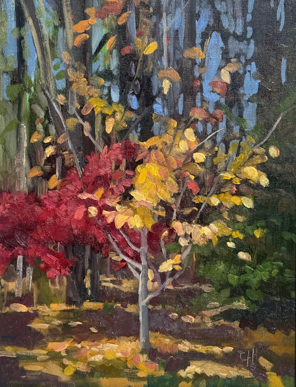 Colors of Fall by Christy Hughes