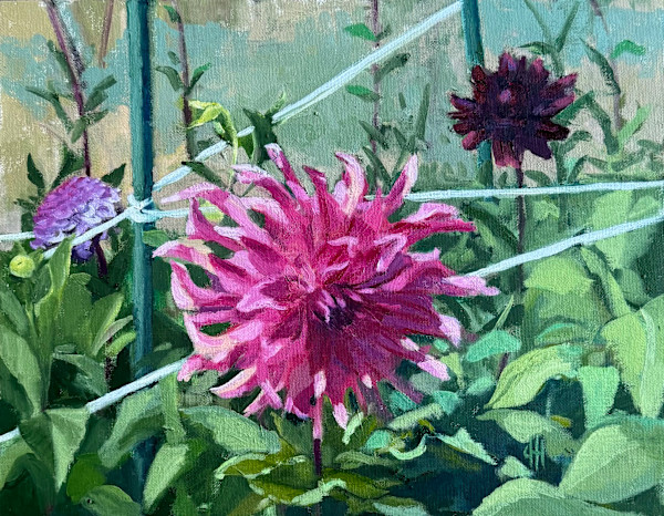 Dahlia Study #2 by Christy Hughes