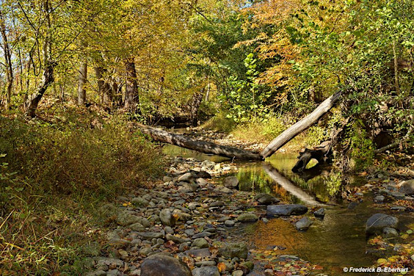 On The Robinson River in Autumn 1/10 by Frederick Eberhart