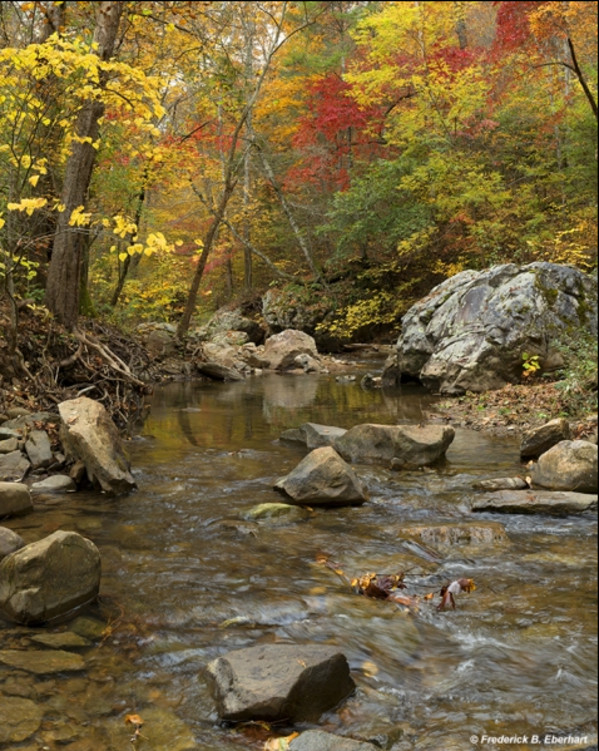 Trout Pool on Jennings Creek 1/10 by Frederick Eberhart, Image 1.