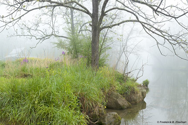 The Cowpasture, Riverside Crossing, Spring 1/10 II by Frederick Eberhart, Image 1.