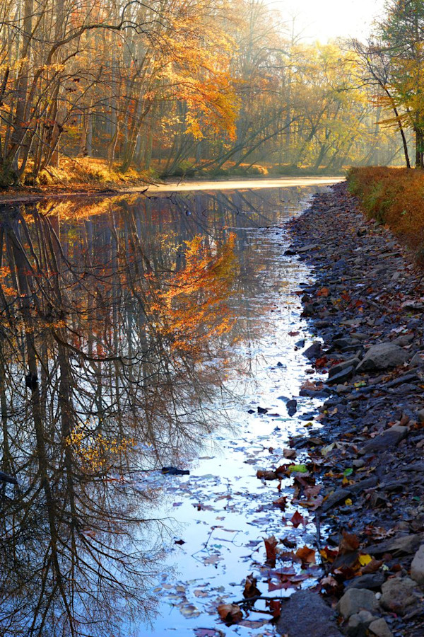 Morning Light on the C&O by Frederick Eberhart
