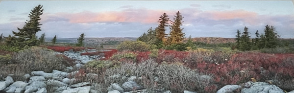 Morning, Dolly Sods by Frederick Eberhart, Image 1.