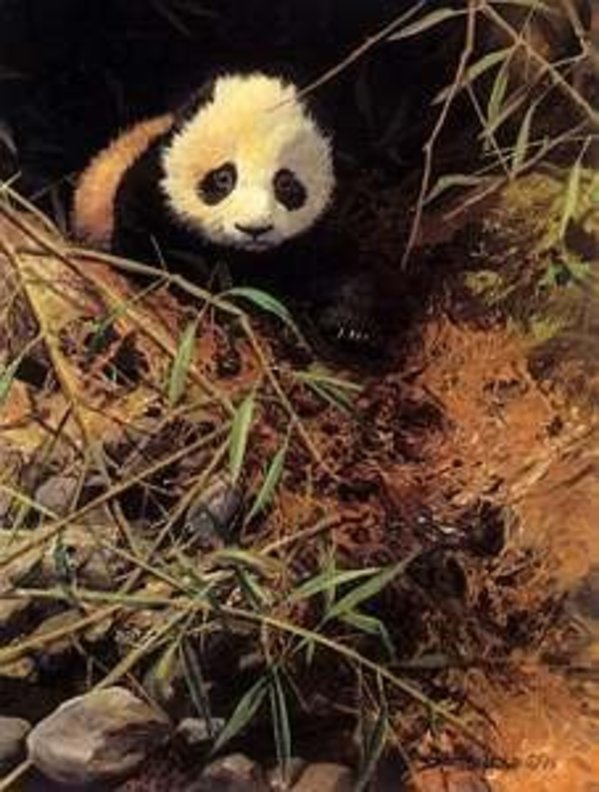 Leaving the Den, Image 1.