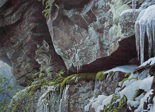The Cliff-Bobcat, Image 1.