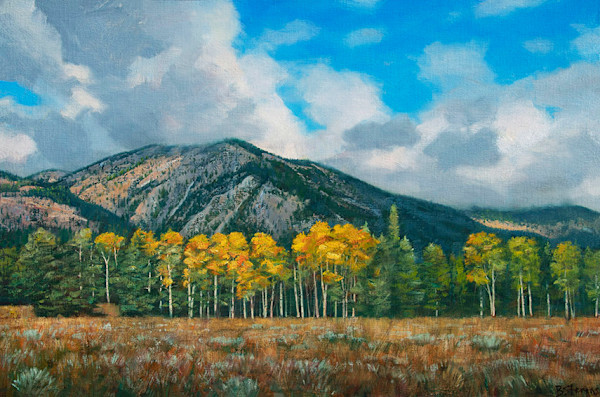 Autumn Aspens by Bradley Stevens, Image 1.